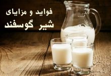 مزایای استفاده از شیر و پنیر گوسفندی