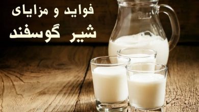 مزایای استفاده از شیر و پنیر گوسفندی