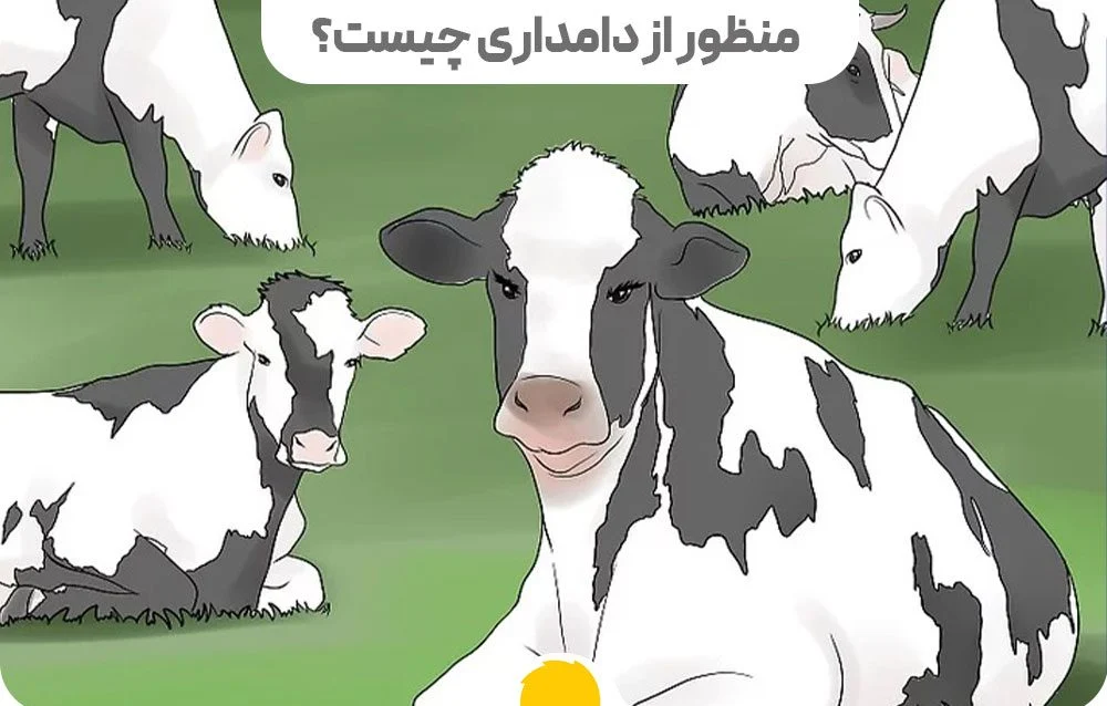 دامداری سنتی با دامداری صنعتی چه تفاوتی دارد