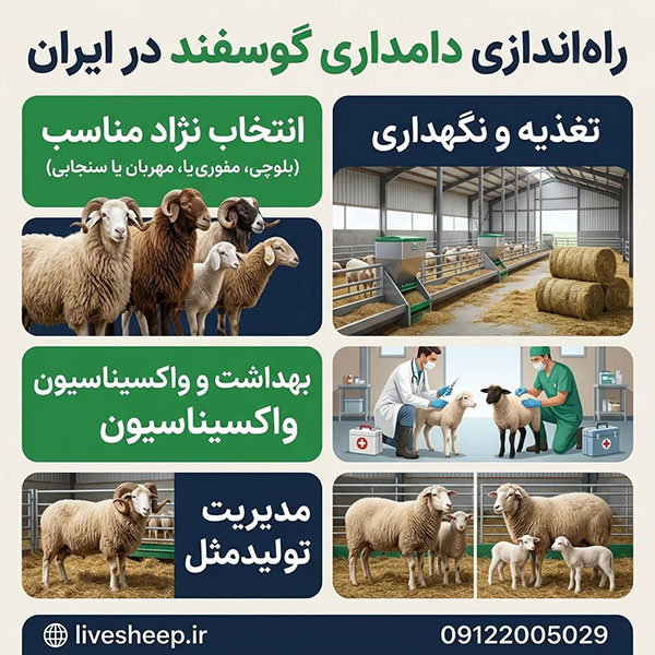 آشنایی با مراحل راه اندازی دامداری در ایران آشنایی با مراحل و هزینه های راه اندازی دامداری در ایران