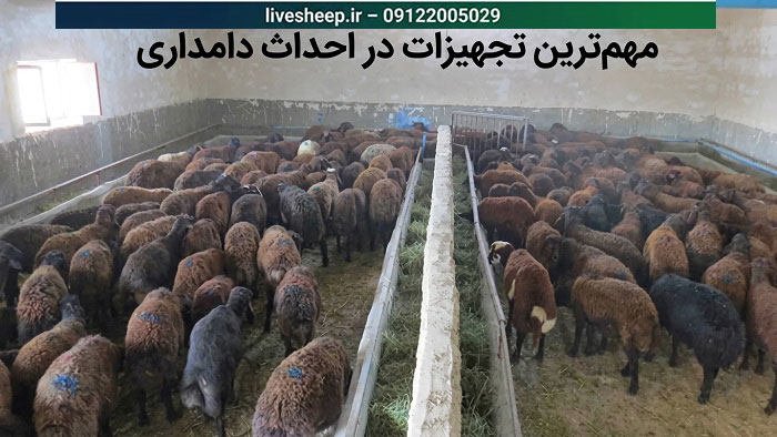 مهم ترین تجهیزات در احداث دامداری مهم ترین تجهیزات در احداث دامداری کدامند