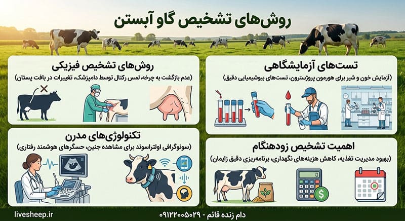 تشخیص روش های آبستنی گاوها راهنمای تشخیص روش های آبستنی گاوها
