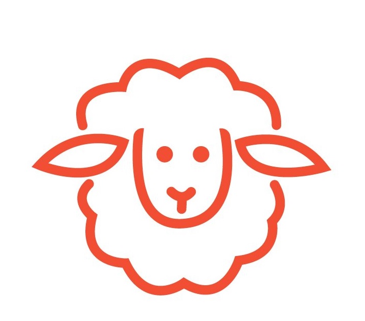 گوسفند زنده | دام زنده در تهران  |قیمت گوسفند زنده