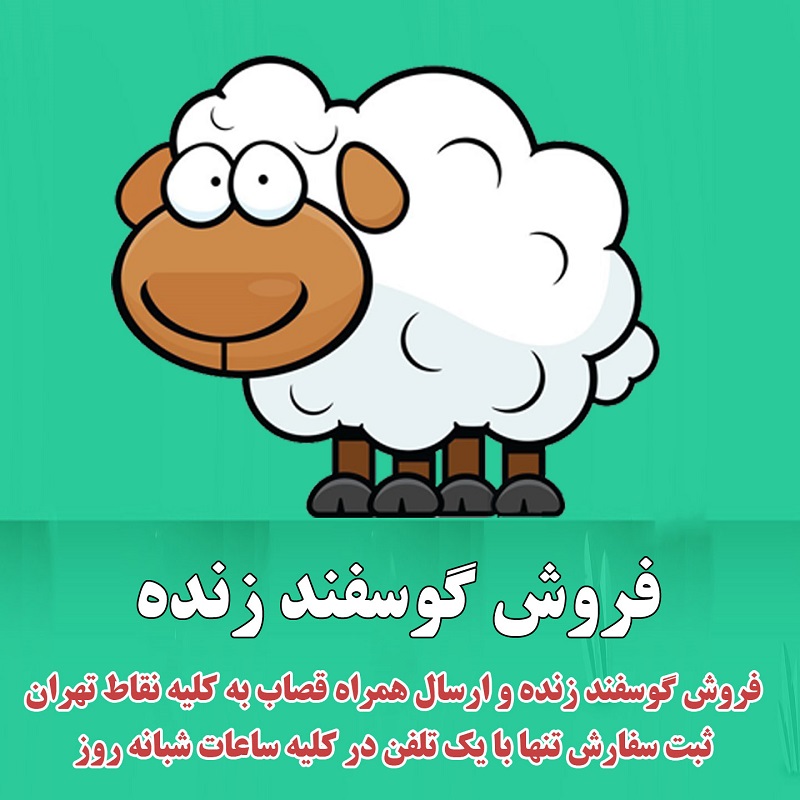 فروش گوسفند زنده بصورت فوری در تمام مناطق تهران