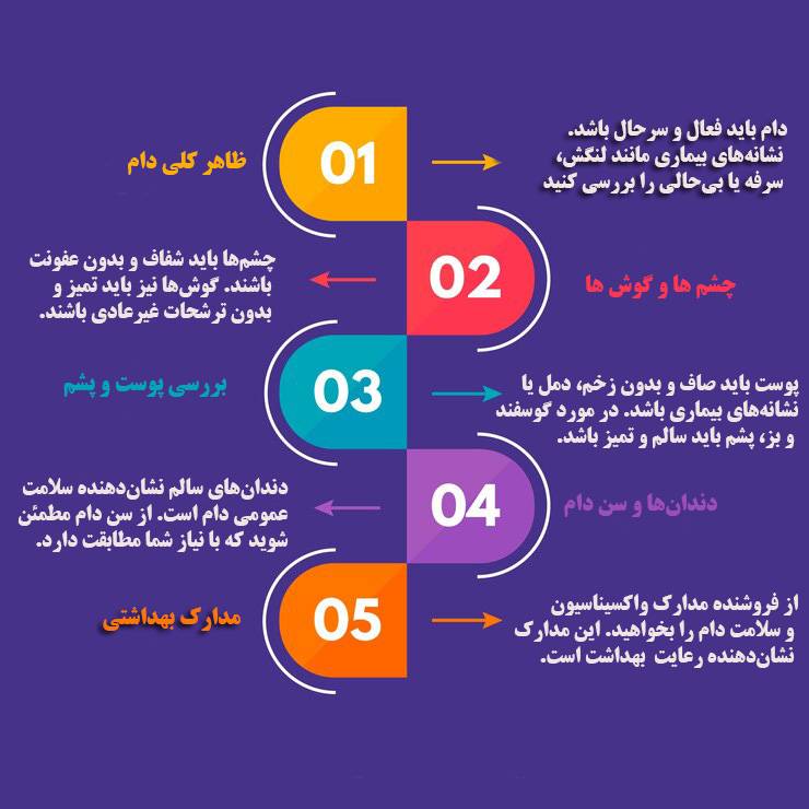 بررسی سلامت دام زنده در شمال تهران