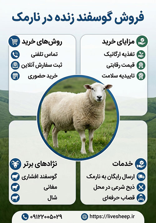 راهنمای خرید بهترین دام زنده ارزان در نارمک