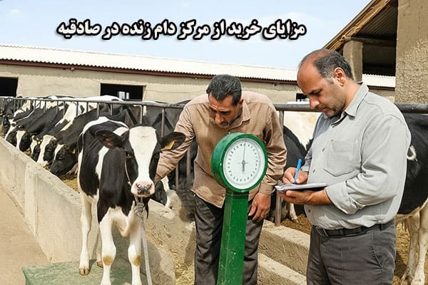 مرکز دام زنده در صادقیه مزایای خرید از مرکز دام زنده در صادقیه