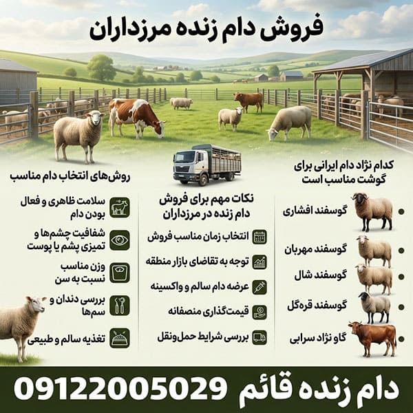 راهنمای خرید بهترین دام زنده در مرزداران با 10 درصد تخفیف