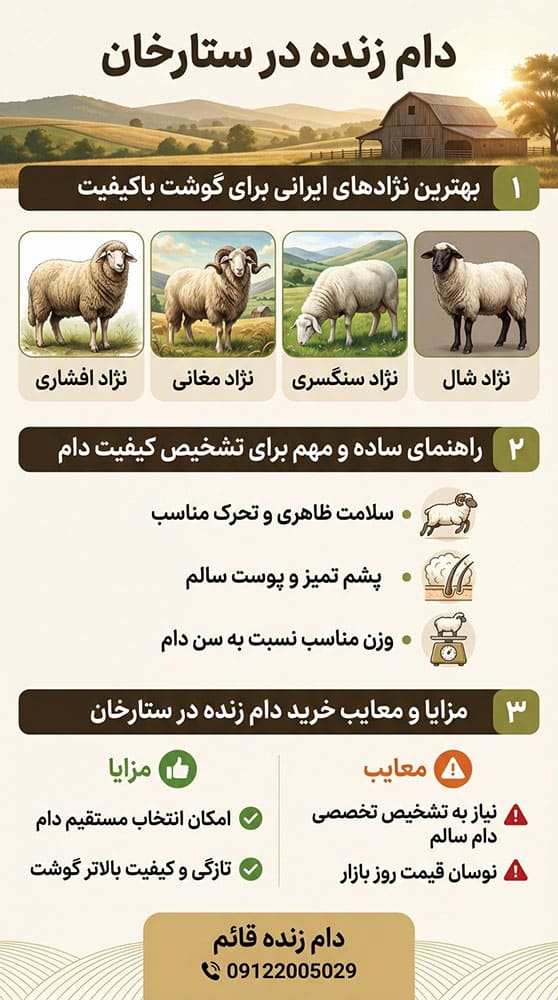 راهنمای خرید دام زنده باکیفیت در ستارخان