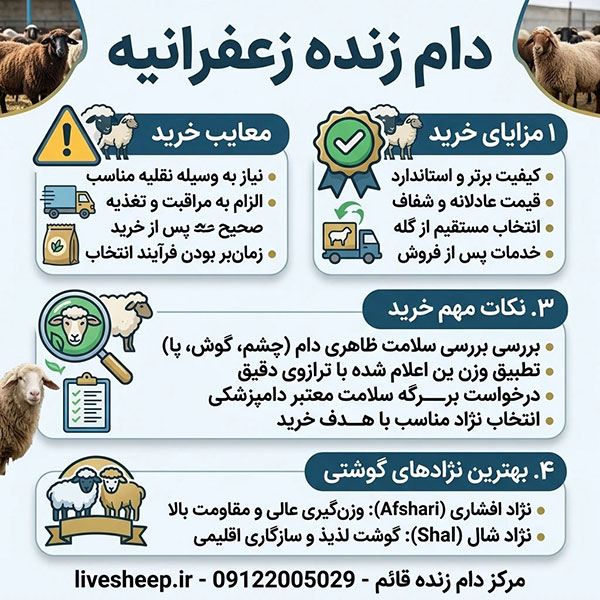 راهنمای خرید دام زنده ارزان در زعفرانیه راهنمای خرید بهترین دام زنده ارزان و باکیفیت در زعفرانیه