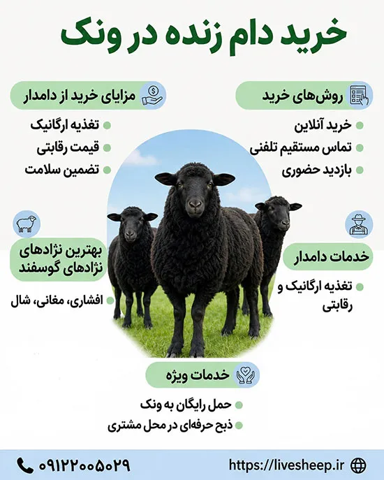 راهنمای  خرید دام زنده با قیمت مناسب در میدان ونک
