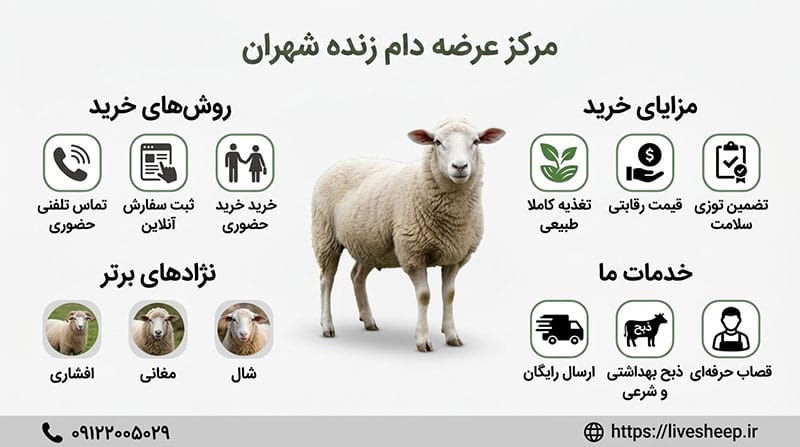 تلفن و آدرس مرکز عرضه و فروش دام زنده در شهران