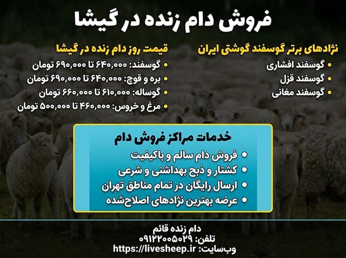 راهنمای خرید بهترین دام زنده در گیشای تهران