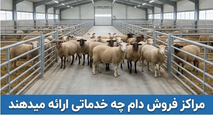 مراکز فروش دام زنده در تهران چه خدماتی ارائه میدهند