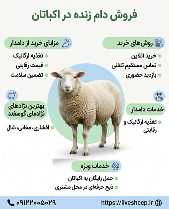 خدمات فروش دام زنده در اکباتان خدمات فروش دام زنده در اکباتان با بهترین کیفیت