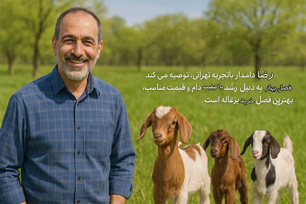 بهترین فصل برای خرید بزغاله زنده در تهران