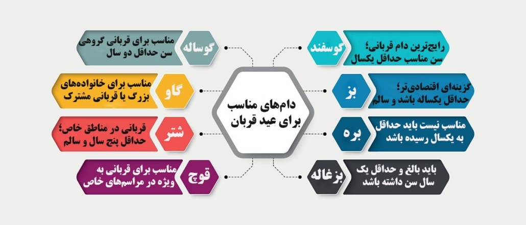 دام های مناسب برای عید قربان کدامند