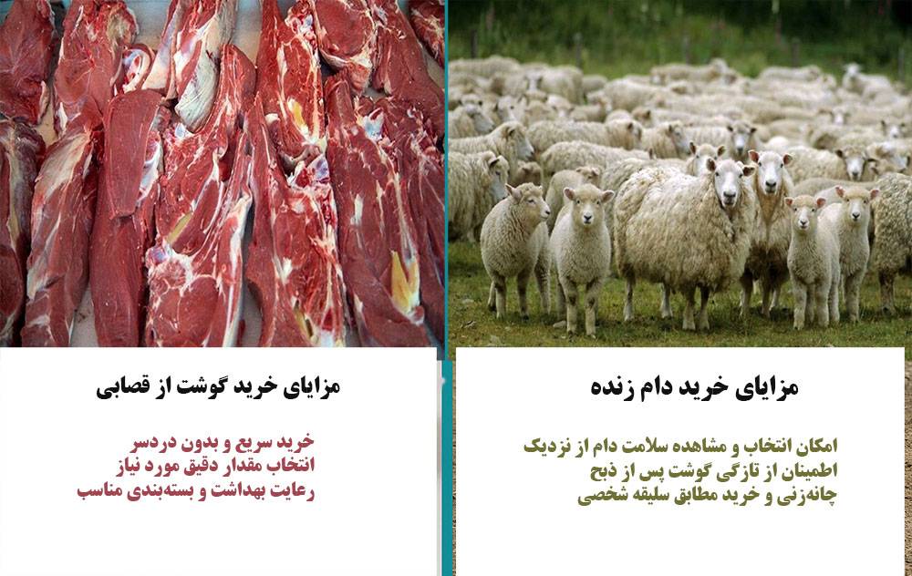 آشنایی با تفاوت خرید دام زنده و خرید گوشت از قصابی
