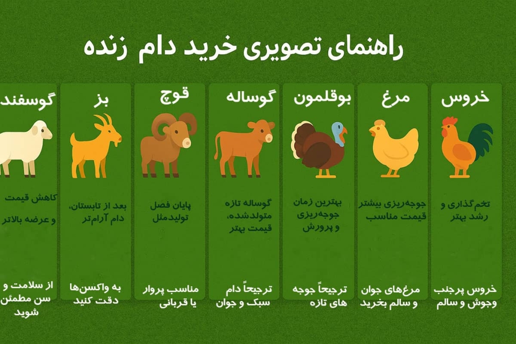 آشنایی با روش های خرید دام زنده چگونه است