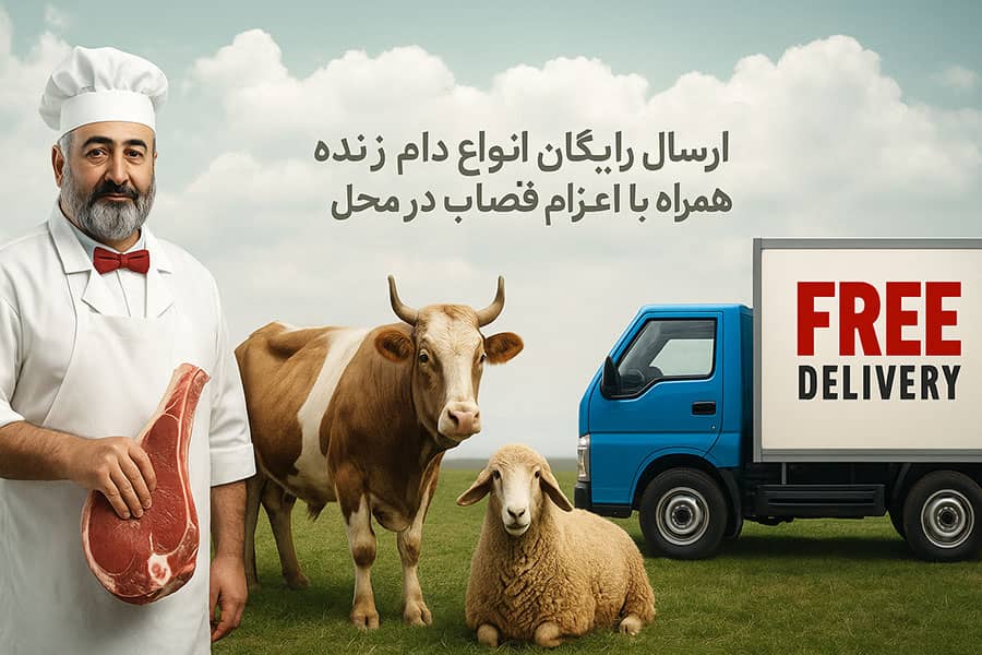 خدمات ارسال و ذبح شرعی دام در نارمک چگونه انجام میشود