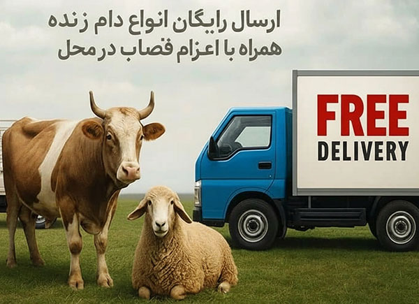 روش های ارسال رایگان دام زنده در ونک