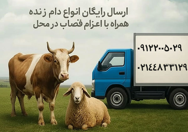 دلایل مهم افزایش قیمت دام زنده در جنت آباد