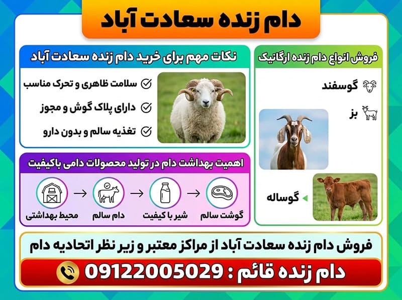آشنایی با راهنمای خرید دام زنده باکیفیت در سعادت آباد
