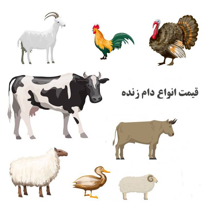 فروش انواع دام زنده در تهران روش های فروش انواع دام زنده در تهران