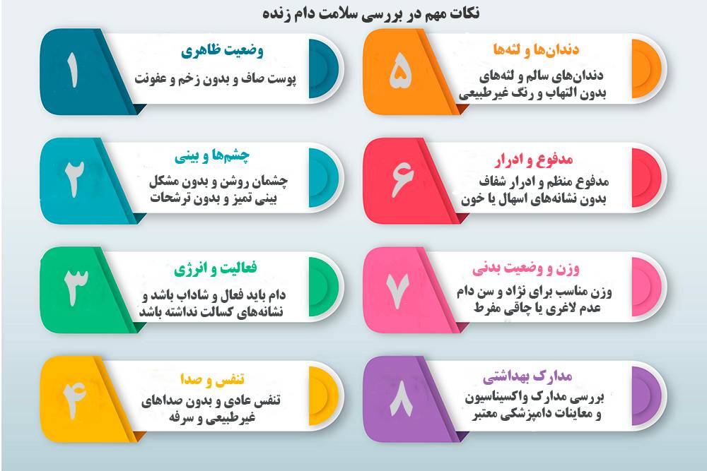 نکات مهم در بررسی سلامت دام زنده نکات مهم در بررسی سلامت دام زنده چیست