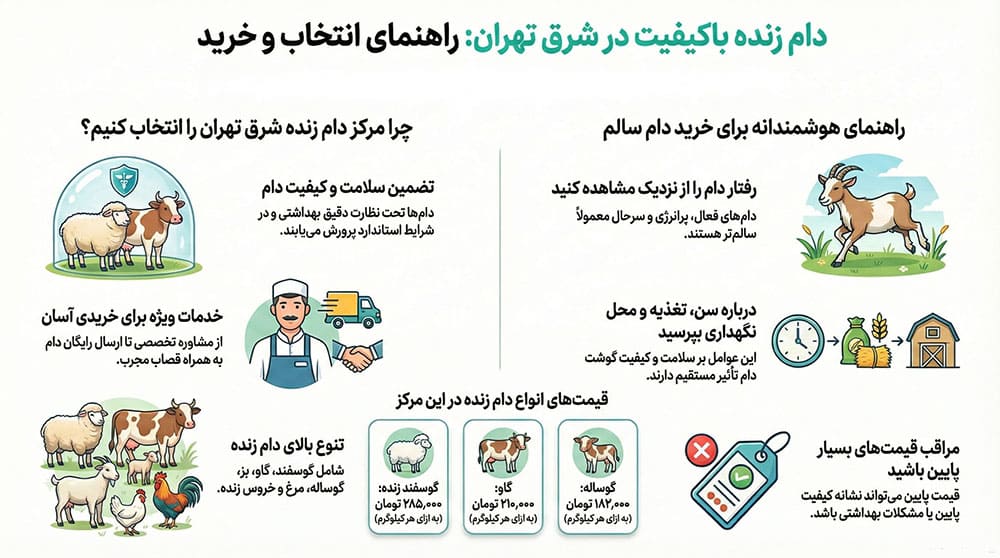 راهنمای خرید دام زنده در شرق تهران آشنایی با راهنمای خرید دام زنده در شرق تهران