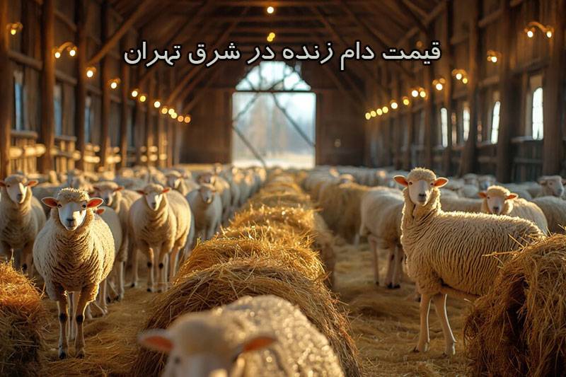 قیمت دام زنده در شرق تهران قیمت دام زنده در شرق تهران به چه عواملی بستگی دارد